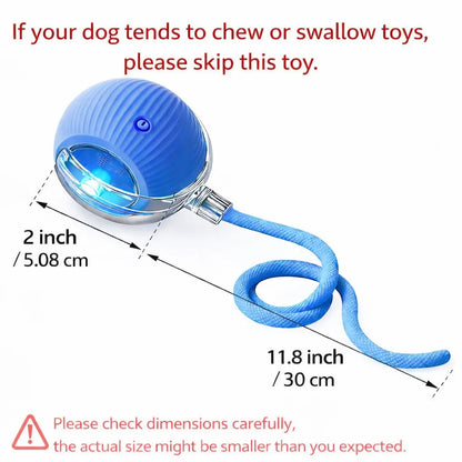 Mizusu Interactive Cat & Dog Teaser Toy with Two Additional Tails, Kitten Rolling Ball Toy, Pet Supplies, Dog & Cat Accessories Cute Dog Toys