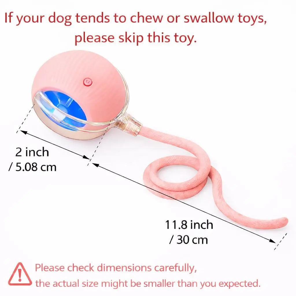 Mizusu Interactive Cat & Dog Teaser Toy with Two Additional Tails, Kitten Rolling Ball Toy, Pet Supplies, Dog & Cat Accessories Cute Dog Toys