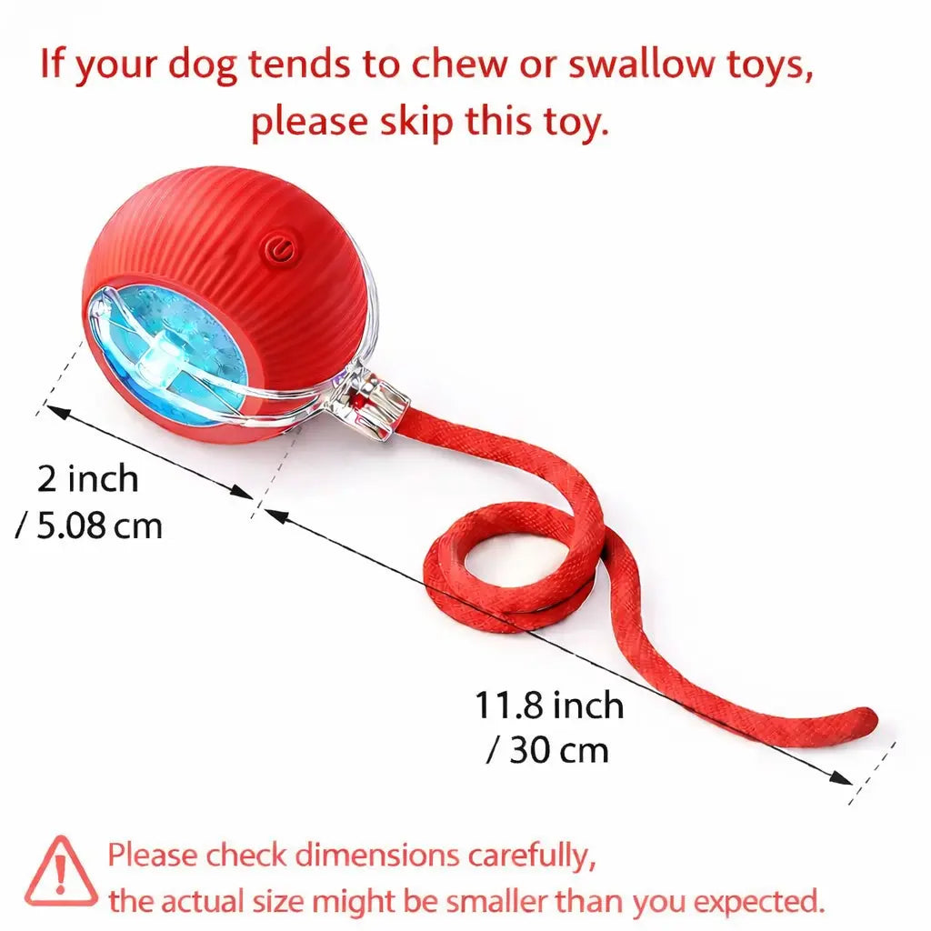 Mizusu Interactive Cat & Dog Teaser Toy with Two Additional Tails, Kitten Rolling Ball Toy, Pet Supplies, Dog & Cat Accessories Cute Dog Toys